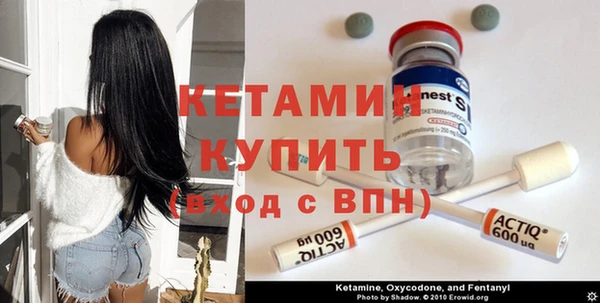 соль ск Ельня