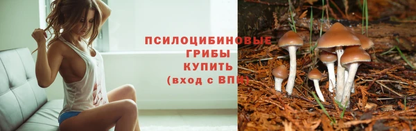 первитин Покачи