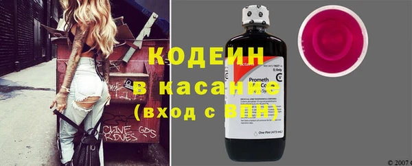 соль ск Ельня