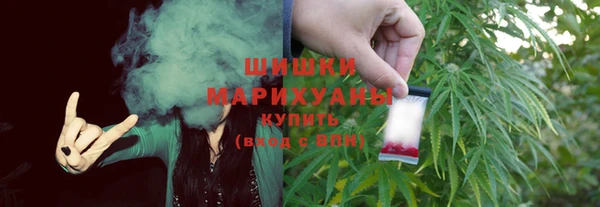 соль ск Ельня