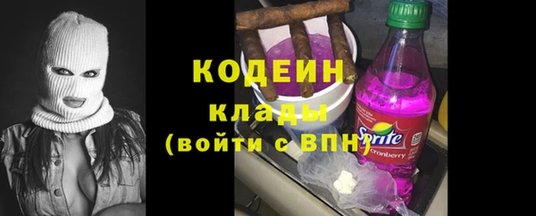 шишки Елабуга