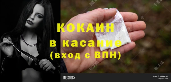 шишки Елабуга