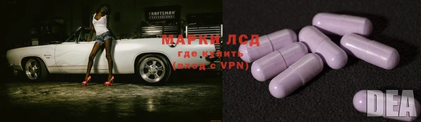 эйфоретик Елизово