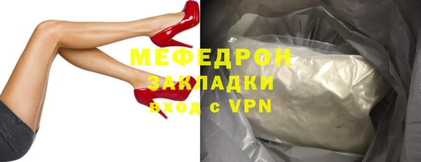 соль ск Ельня