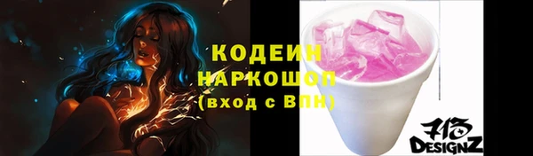 соль ск Ельня