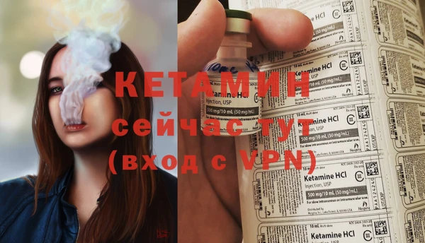 соль ск Ельня