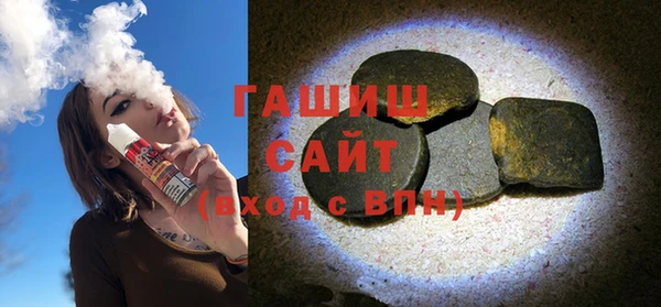 соль ск Ельня