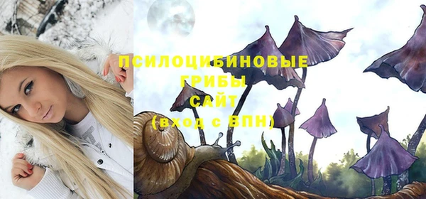 соль ск Ельня