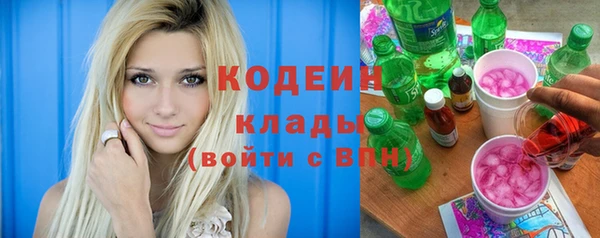 шишки Елабуга
