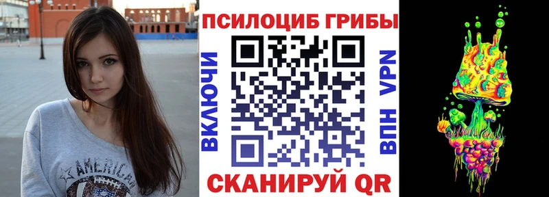kraken ссылки  Приморск  Галлюциногенные грибы Magic Shrooms 